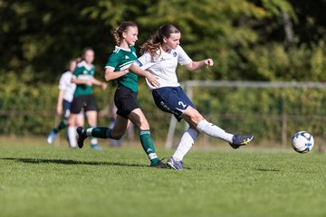 Bild 260 - wBJ VfL Pinneberg - Rissen : Ergebnis: 8:0